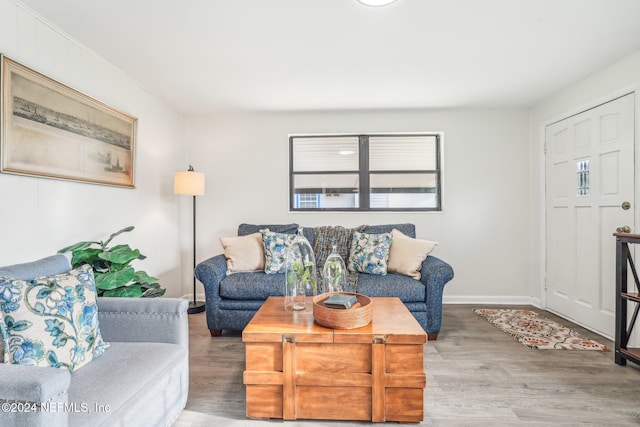 living room featuring hardwood / wood-style flooring