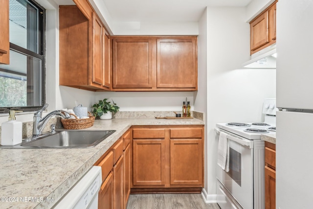 kitchen with light wood-type flooring, sink, white appliances, and ventilation hood