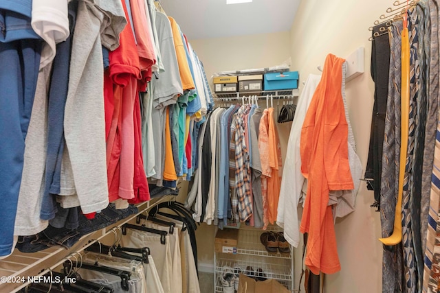 view of spacious closet