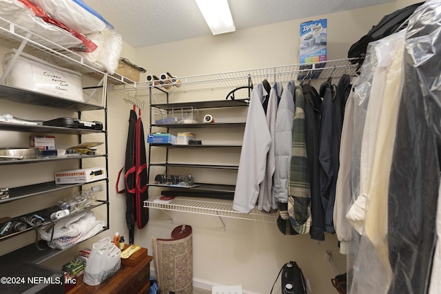 view of walk in closet