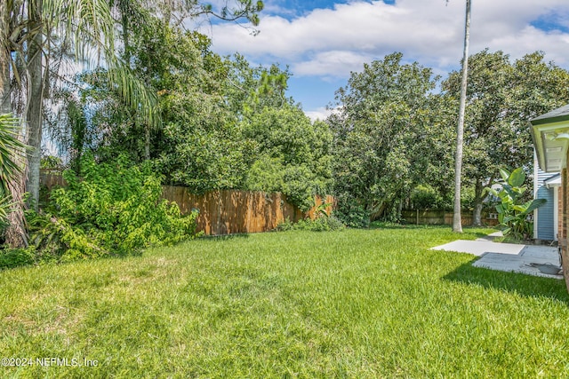 view of yard featuring a fenced backyard