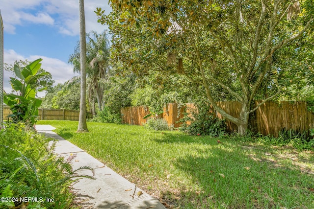 view of yard with a fenced backyard