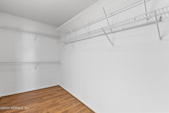 spacious closet featuring wood finished floors