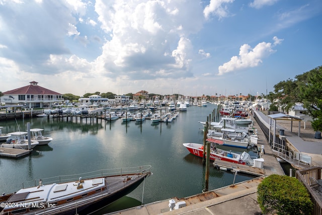 dock area with a water view