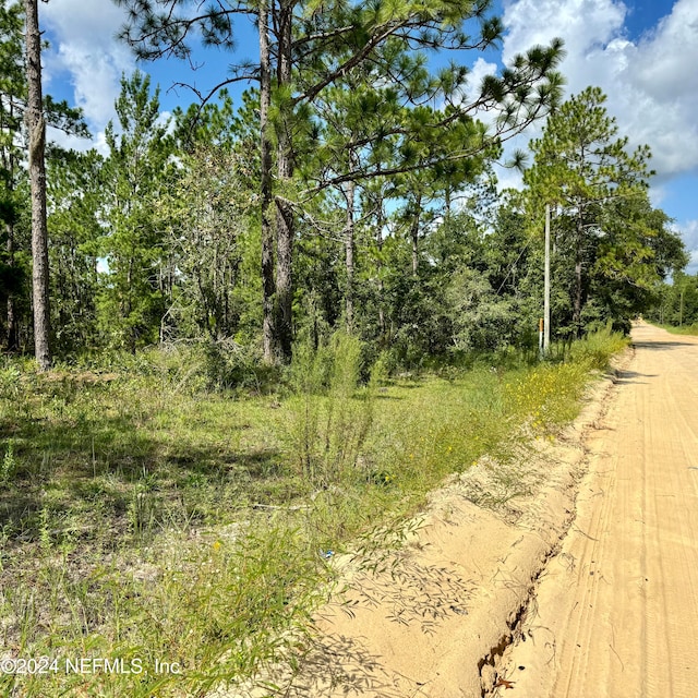 Listing photo 3 for 000 Union Ave, Interlachen FL 32148