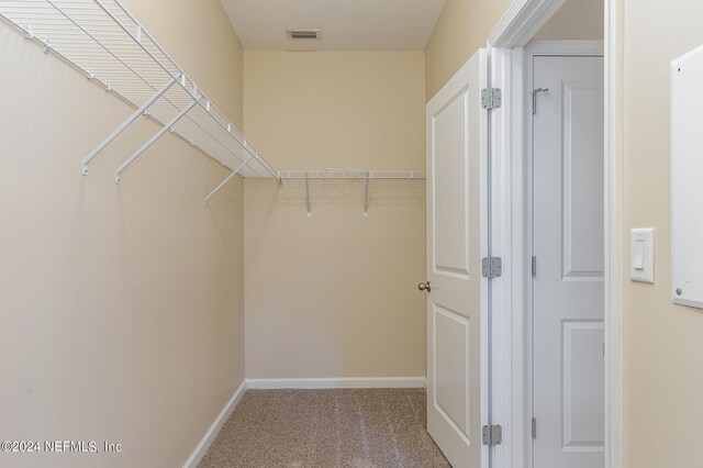 walk in closet featuring carpet flooring