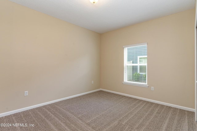 spare room featuring carpet