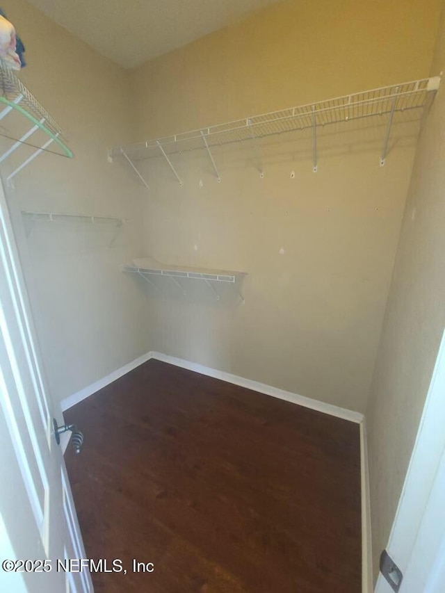 spacious closet featuring hardwood / wood-style flooring