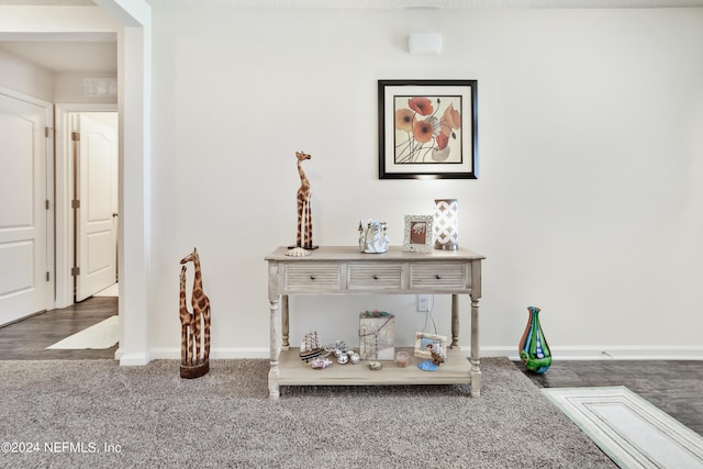 interior details featuring baseboards and carpet flooring