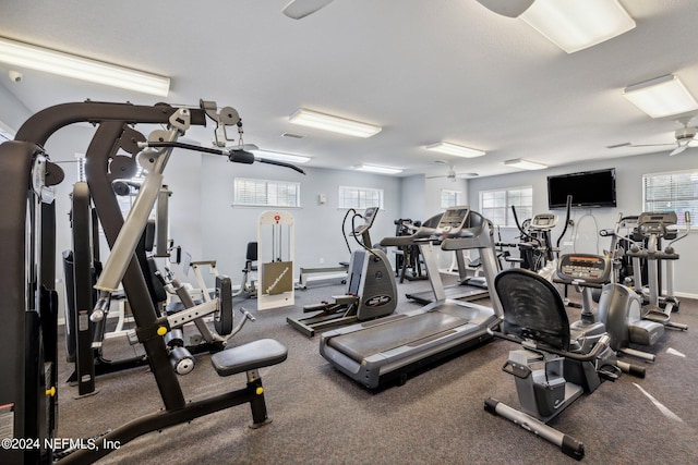 exercise room with a ceiling fan and baseboards