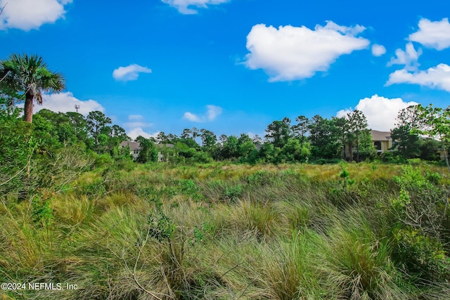 view of nature