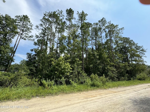 Listing photo 3 for 128 Domingo Rd, Satsuma FL 32189