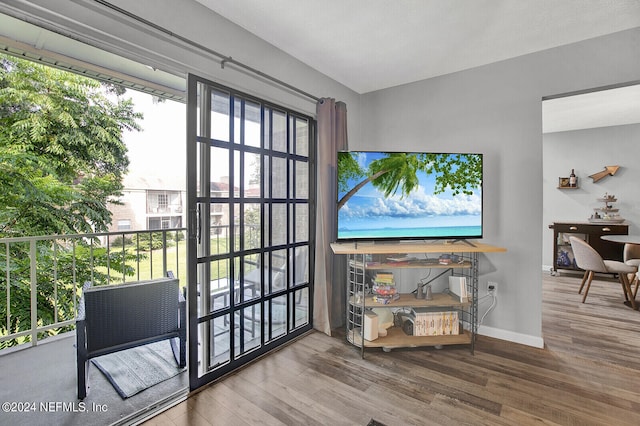 interior space featuring hardwood / wood-style floors and a healthy amount of sunlight