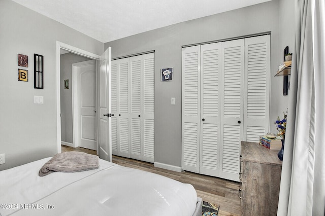 bedroom featuring multiple closets and wood-type flooring