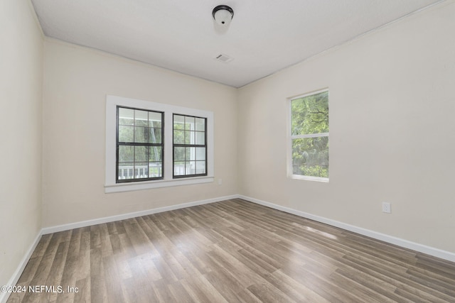 empty room with plenty of natural light and wood-type flooring