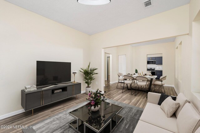 living room with a textured ceiling and hardwood / wood-style floors