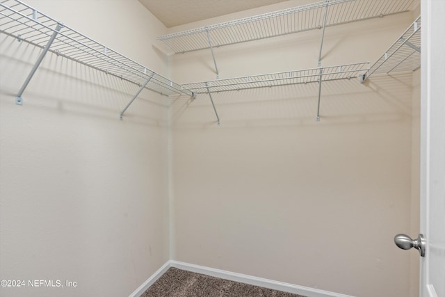walk in closet featuring carpet floors