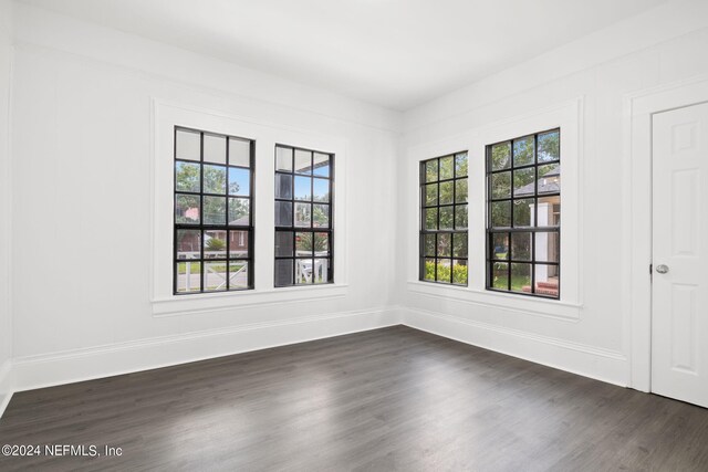 empty room featuring dark hardwood / wood-style floors and a wealth of natural light