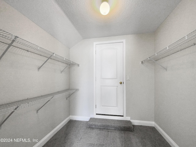 spacious closet with carpet and lofted ceiling