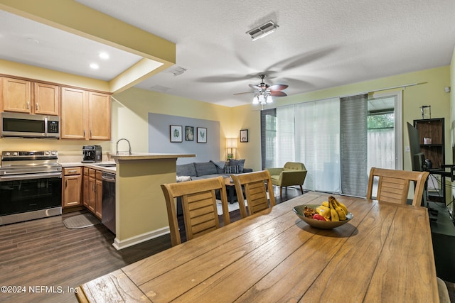 kitchen featuring appliances with stainless steel finishes, sink, a textured ceiling, dark hardwood / wood-style flooring, and ceiling fan