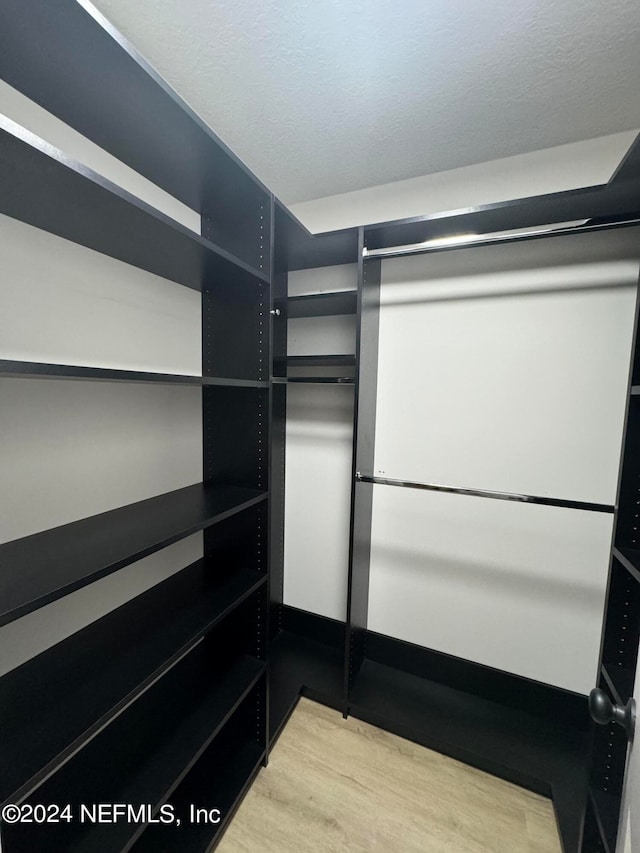 spacious closet featuring light wood-type flooring