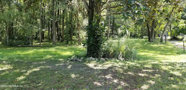 Listing photo 3 for 0000 Moncrief-Dinsmore Rd, Jacksonville FL 32219