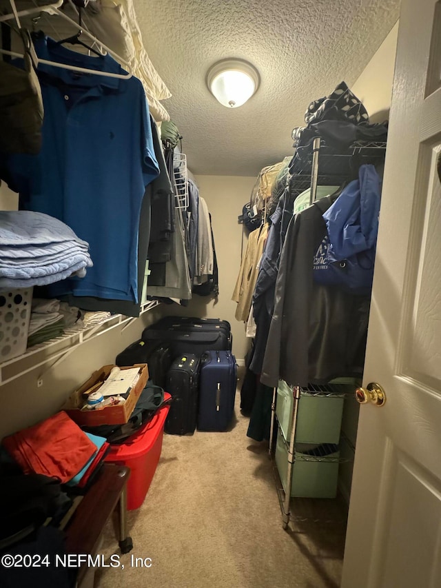 walk in closet featuring carpet floors