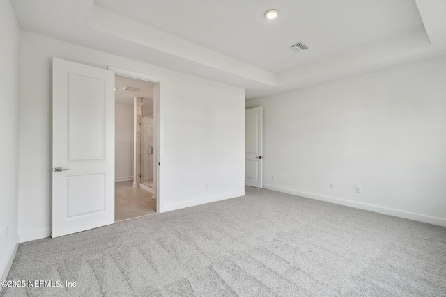 interior space with a raised ceiling and light carpet