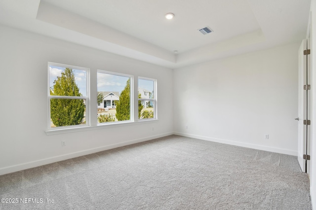 unfurnished room featuring carpet flooring and a tray ceiling