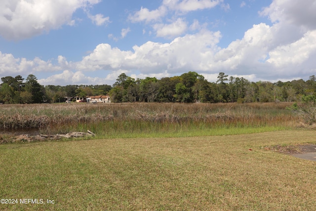 3037 Ribault Scenic Dr, Jacksonville, FL 32208 - view of yard with a wooded view and a rural view