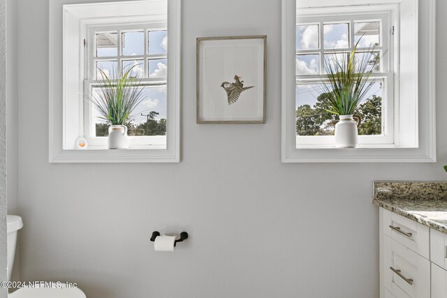 bathroom with toilet, vanity, and a wealth of natural light