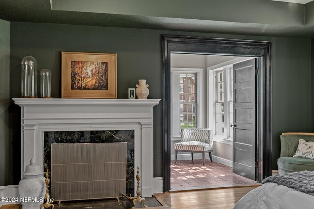 interior space with a premium fireplace and wood-type flooring