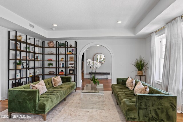 living room with a wealth of natural light, light wood-type flooring, and a raised ceiling