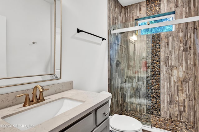 bathroom featuring a stall shower, toilet, and vanity