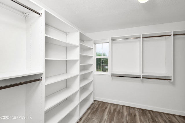 walk in closet with dark hardwood / wood-style flooring