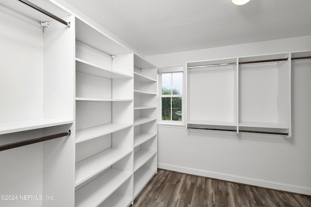 walk in closet with dark wood-type flooring