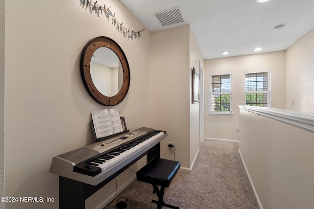 interior space with light colored carpet