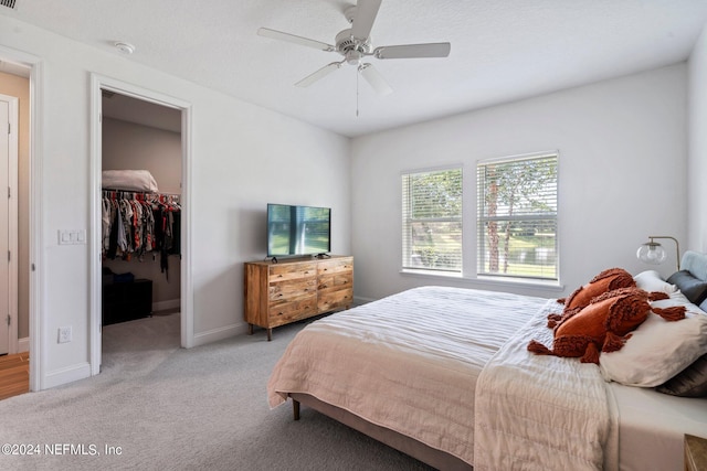 carpeted bedroom with a walk in closet, a closet, and ceiling fan