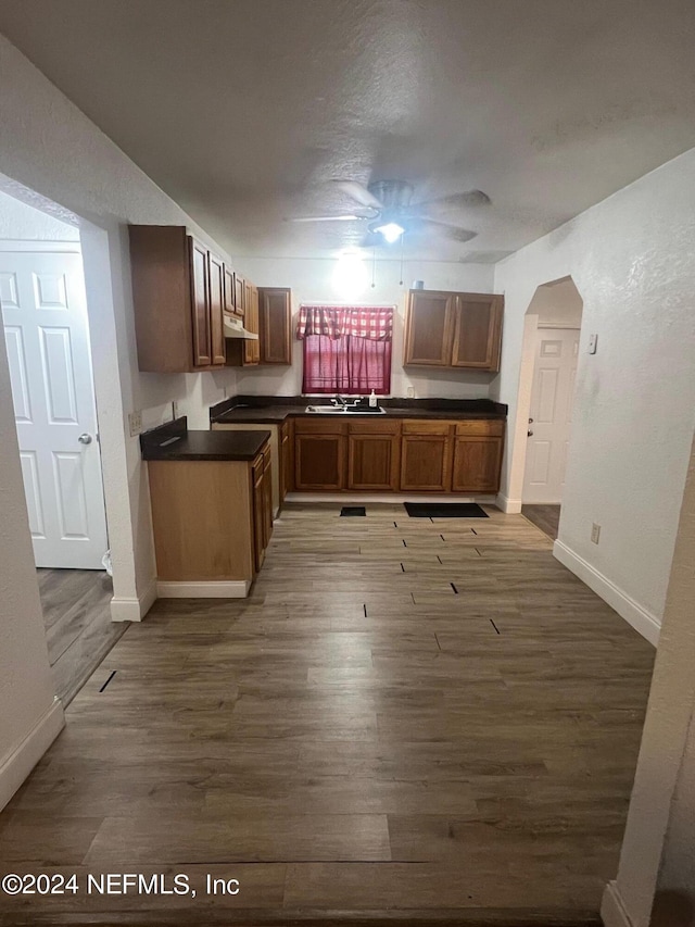 kitchen with hardwood / wood-style floors, sink, and ceiling fan