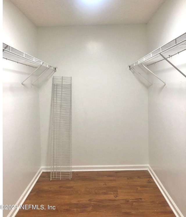 walk in closet featuring dark hardwood / wood-style floors