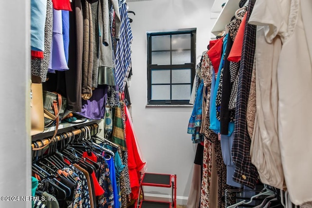 view of walk in closet