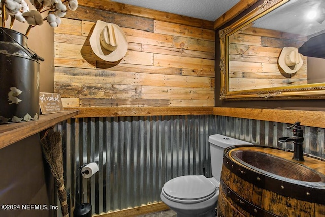 bathroom with toilet, vanity, and wood walls