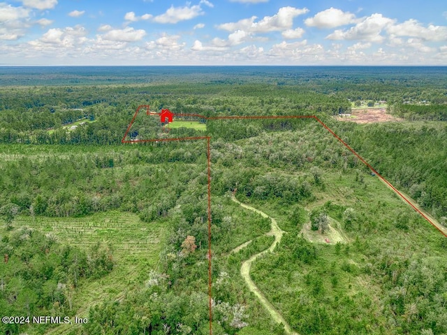 aerial view with a view of trees
