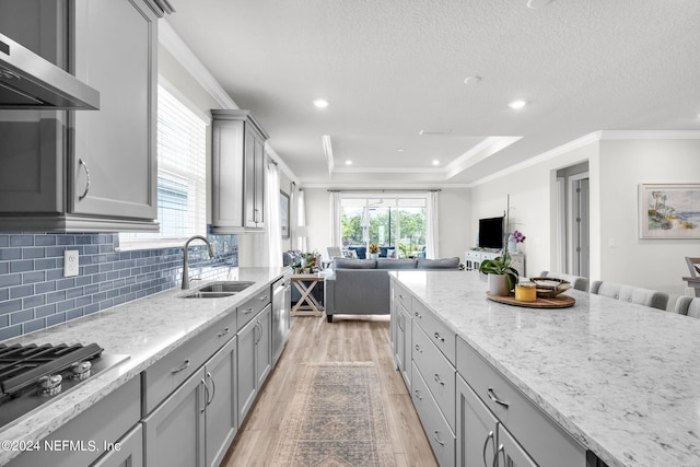 kitchen with gray cabinets, range hood, sink, stainless steel appliances, and crown molding