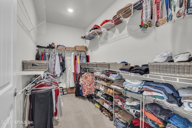 spacious closet featuring carpet flooring