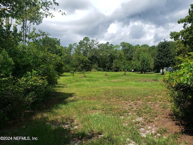 Listing photo 3 for 000 Osceola Rd, Georgetown FL 32139