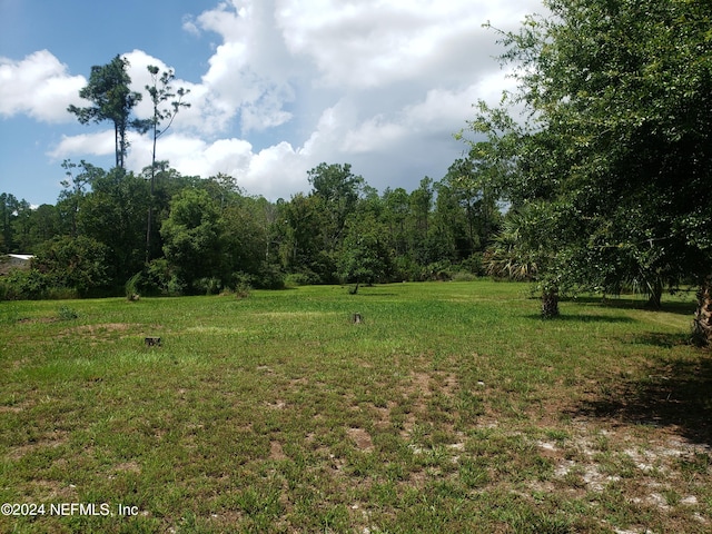 000 Osceola Rd, Georgetown FL, 32139 land for sale