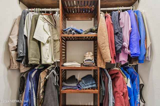 view of spacious closet