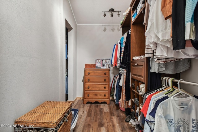 walk in closet featuring dark hardwood / wood-style flooring