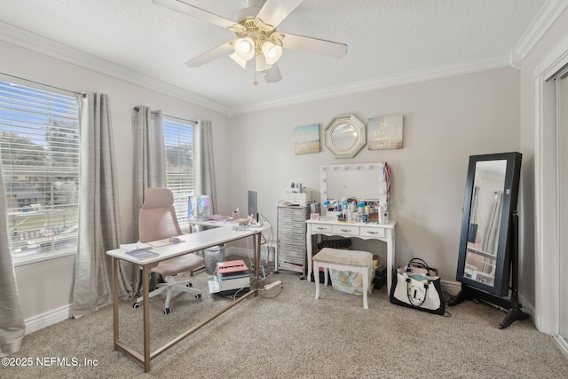 office space featuring ceiling fan, crown molding, carpet floors, and a textured ceiling